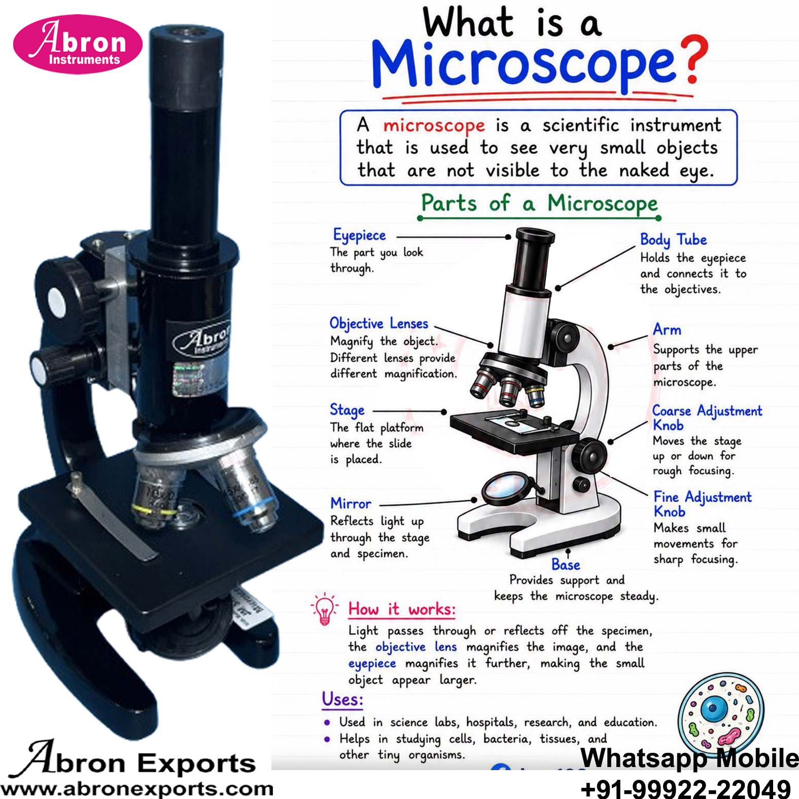 Student Microscope Parts Diagram Body Focusing Knobs Eye Piece10x15x Ojbective 10x 45x Abron AB-01 